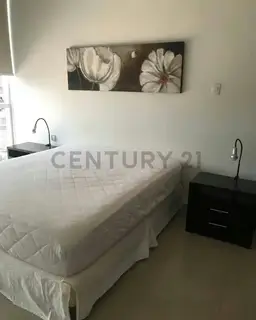 Vista 5