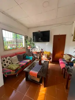 Vista 12
