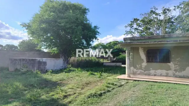 En venta Terreno con Bienhechurías en Tamaca, Sector Las Tunas, vía a Cordero - 3