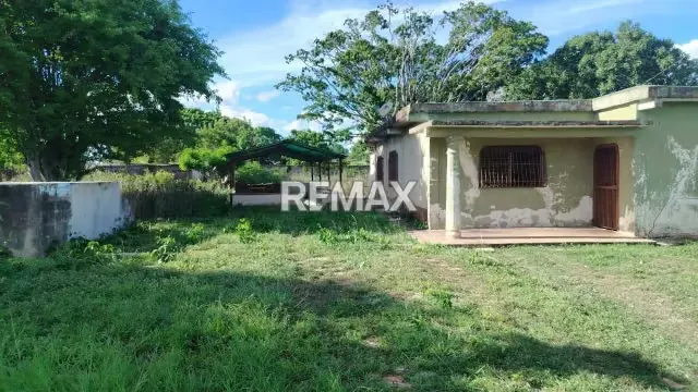 En venta Terreno con Bienhechurías en Tamaca, Sector Las Tunas, vía a Cordero - 5
