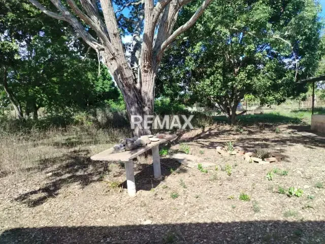 En venta Terreno con Bienhechurías en Tamaca, Sector Las Tunas, vía a Cordero - 8