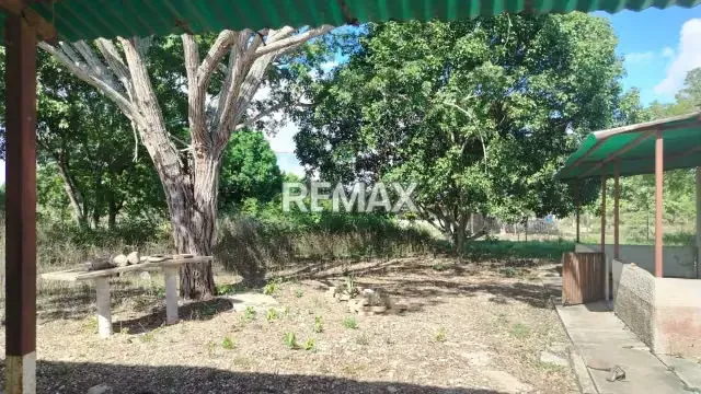 En venta Terreno con Bienhechurías en Tamaca, Sector Las Tunas, vía a Cordero - 9
