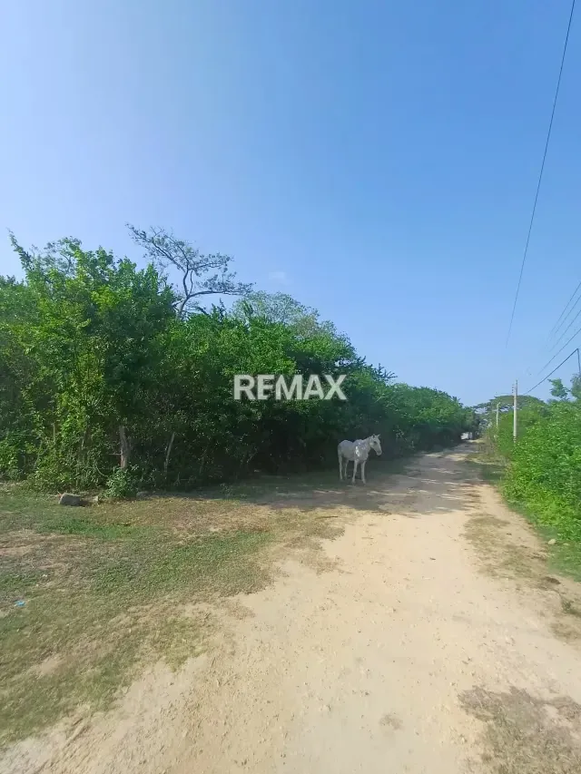 En Venta terreno de 15.587 m2 en granjas el tuque ¡Gran Oportunidad de Inversión en El Tuque! - 2