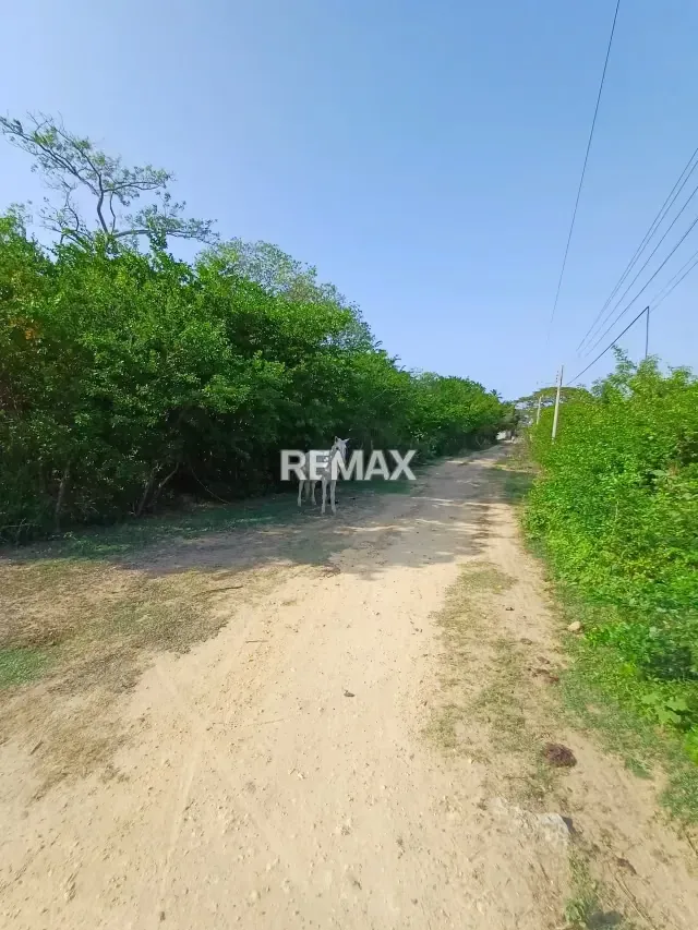 En Venta terreno de 15.587 m2 en granjas el tuque ¡Gran Oportunidad de Inversión en El Tuque! - 7