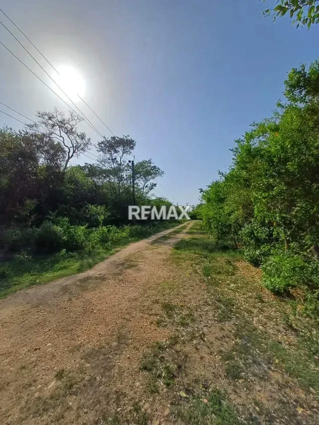 En Venta terreno de 15.587 m2 en granjas el tuque ¡Gran Oportunidad de Inversión en El Tuque! - 8