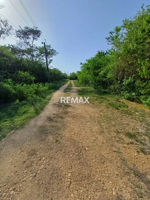 En Venta terreno de 15.587 m2 en granjas el tuque ¡Gran Oportunidad de Inversión en El Tuque! - 9