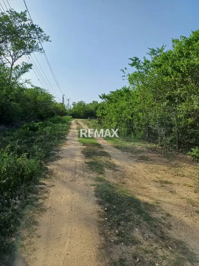 En Venta terreno de 15.587 m2 en granjas el tuque ¡Gran Oportunidad de Inversión en El Tuque! - 10