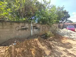 Vista 5