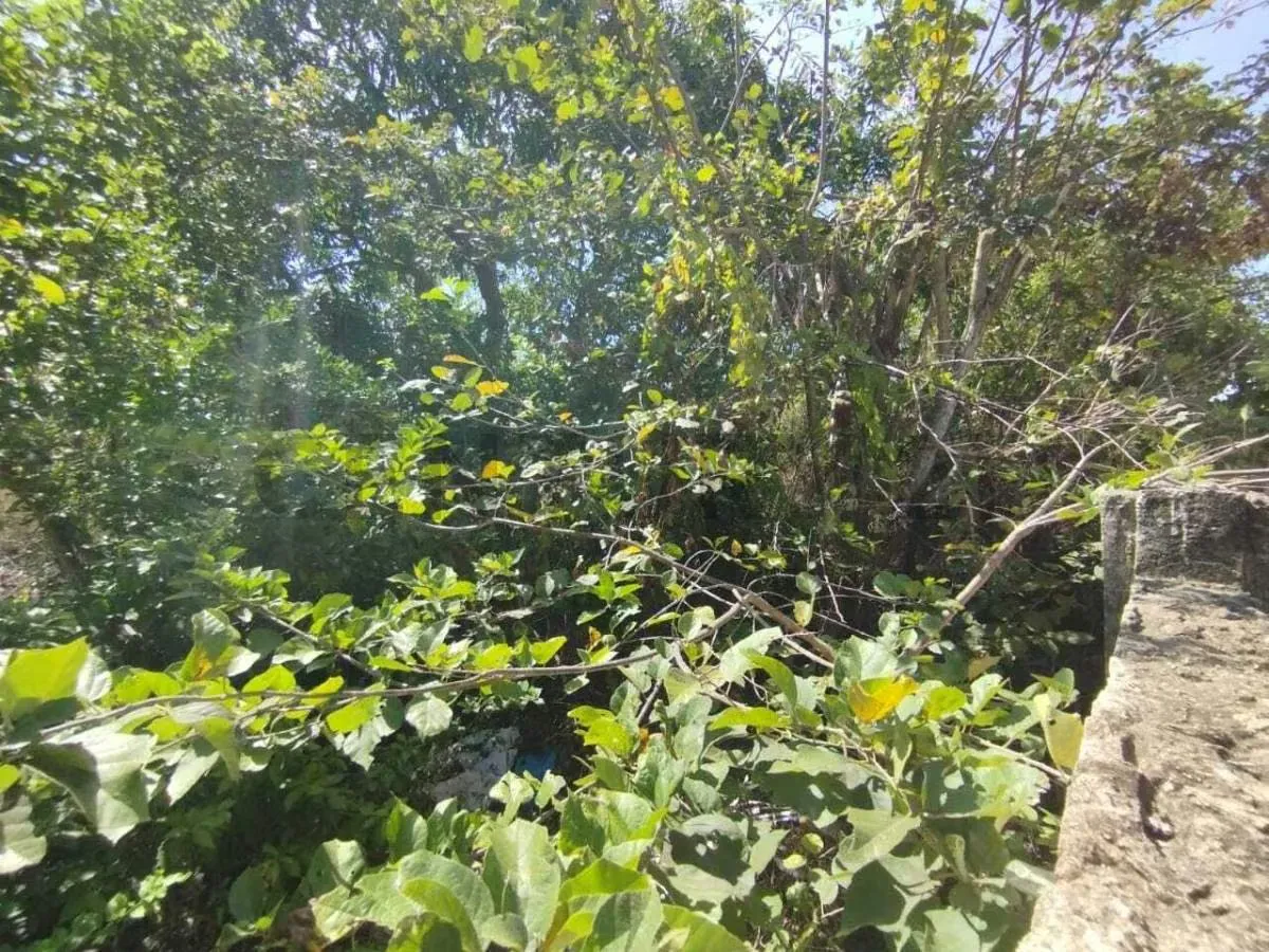 , Terreno Calle Las Margaritas,Margarita - 8