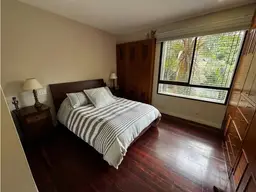 Vista 15