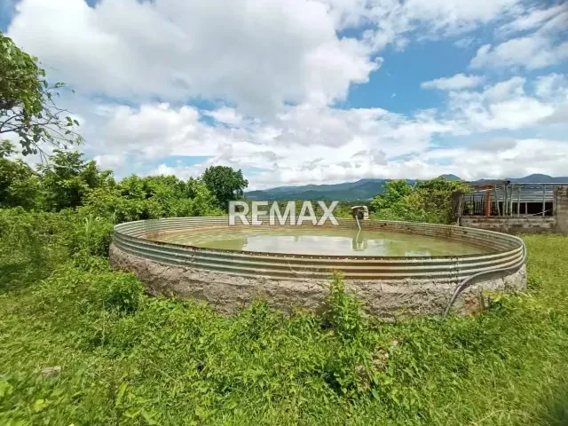 EN VENTA FINCA EN QUIRIQUIRE, SECTOR LOS BAÑOS. ESTADO MONAGAS - 11