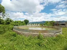 View 11
