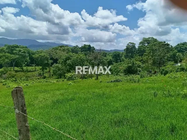 EN VENTA FINCA EN QUIRIQUIRE, SECTOR LOS BAÑOS. ESTADO MONAGAS - 2