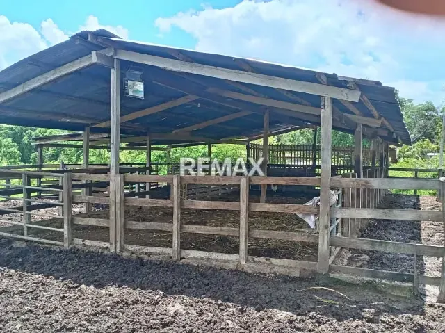 EN VENTA FINCA EN QUIRIQUIRE, SECTOR LOS BAÑOS. ESTADO MONAGAS - 3
