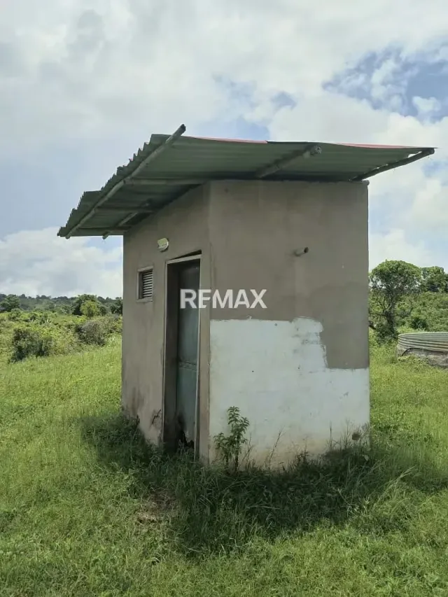 EN VENTA FINCA EN QUIRIQUIRE, SECTOR LOS BAÑOS. ESTADO MONAGAS - 5