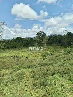 View 6
