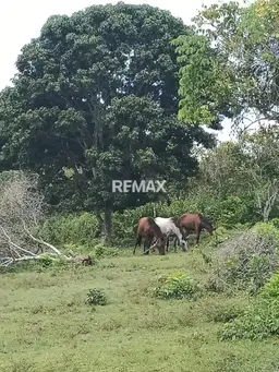 View 7