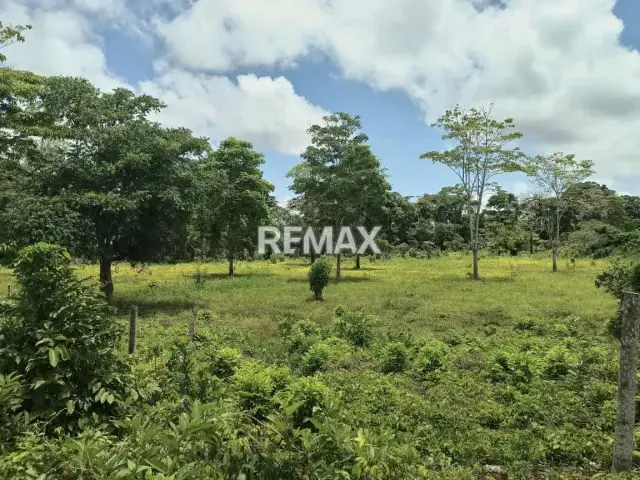 EN VENTA FINCA EN QUIRIQUIRE, SECTOR LOS BAÑOS. ESTADO MONAGAS - 8
