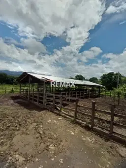 View 10