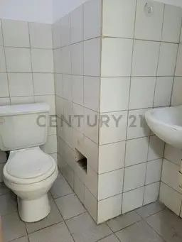 Vista 12