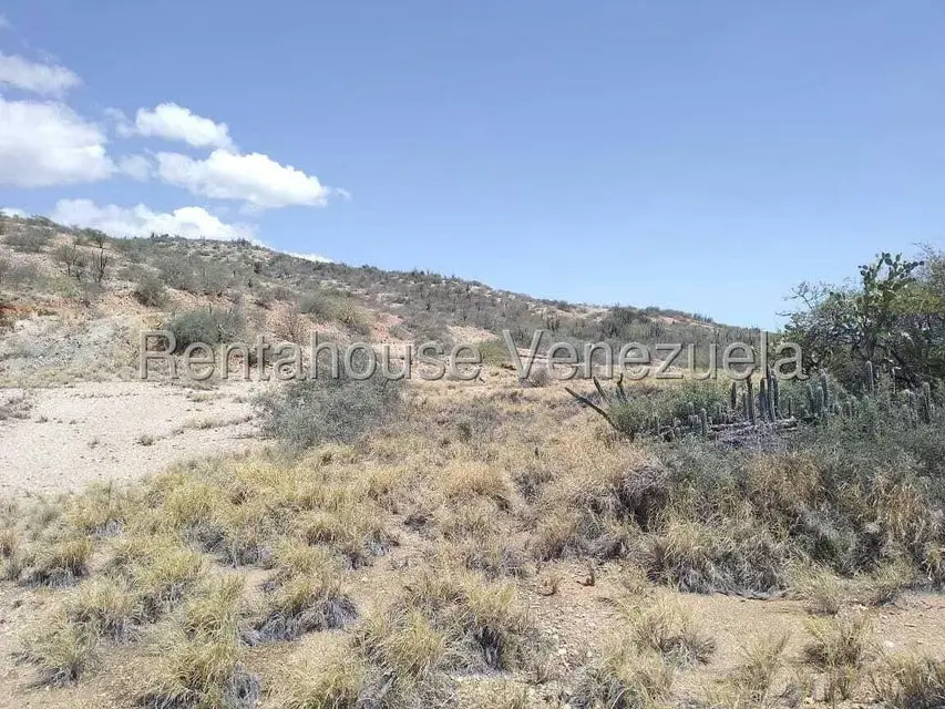 Terreno (Comercial) en Venta en Macanao, Nueva Esparta - 11