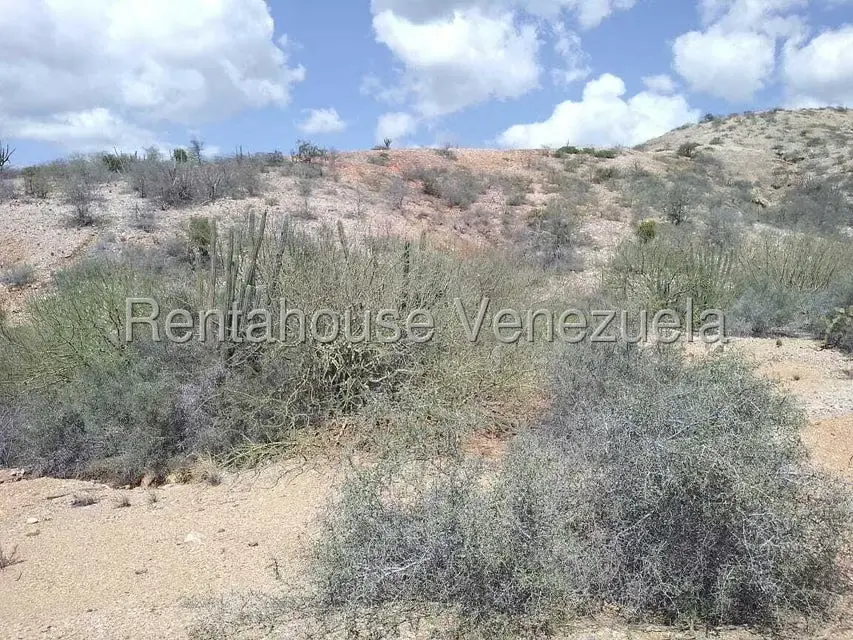 Terreno (Comercial) en Venta en Macanao, Nueva Esparta - 13