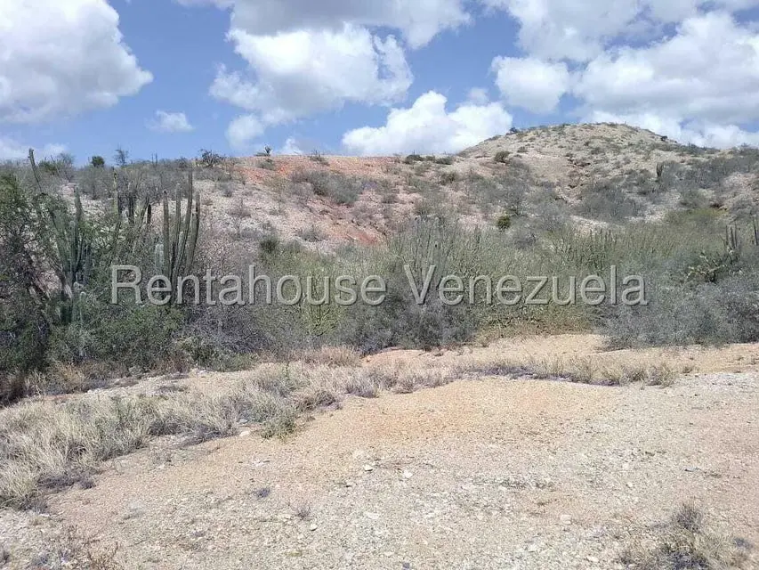 Terreno (Comercial) en Venta en Macanao, Nueva Esparta - 19
