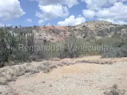 Vista 19