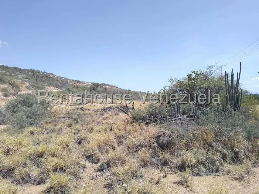 Terreno (Comercial) en Venta en Macanao, Nueva Esparta - 9