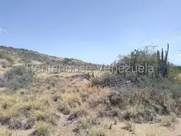 Vista 9