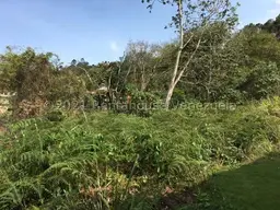 View 14