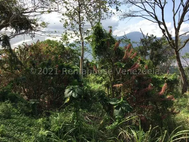 Terreno (Residencial) en Venta en Solares del Carmen, Distrito Metropolitano - 16