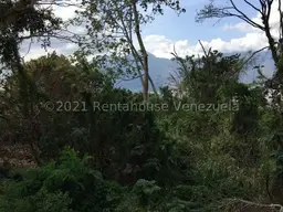 View 17