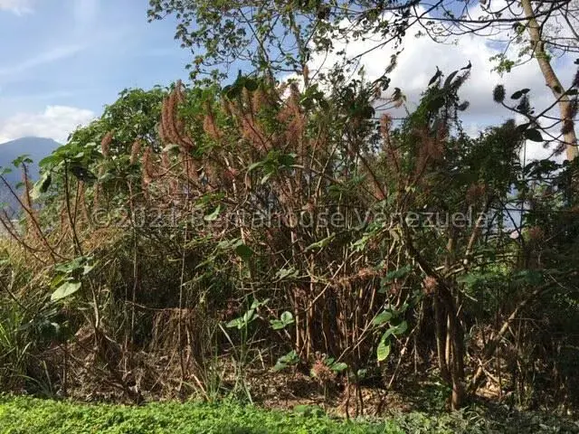 Terreno (Residencial) en Venta en Solares del Carmen, Distrito Metropolitano - 18