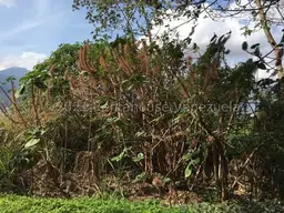 View 18