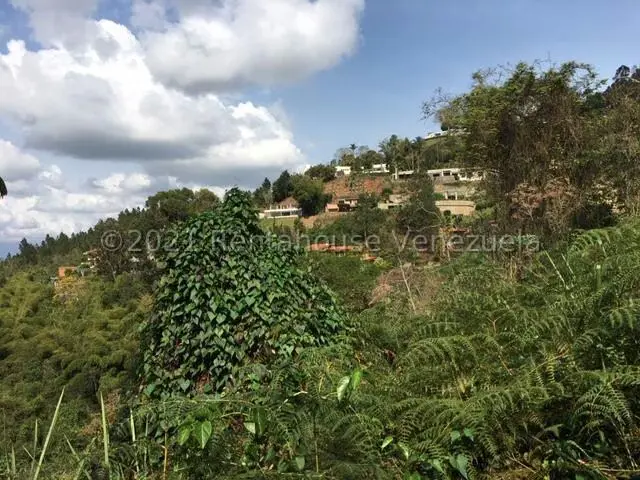 Terreno (Residencial) en Venta en Solares del Carmen, Distrito Metropolitano - 19