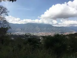 View 7
