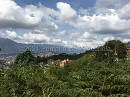 View 8
