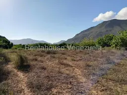Vista 4