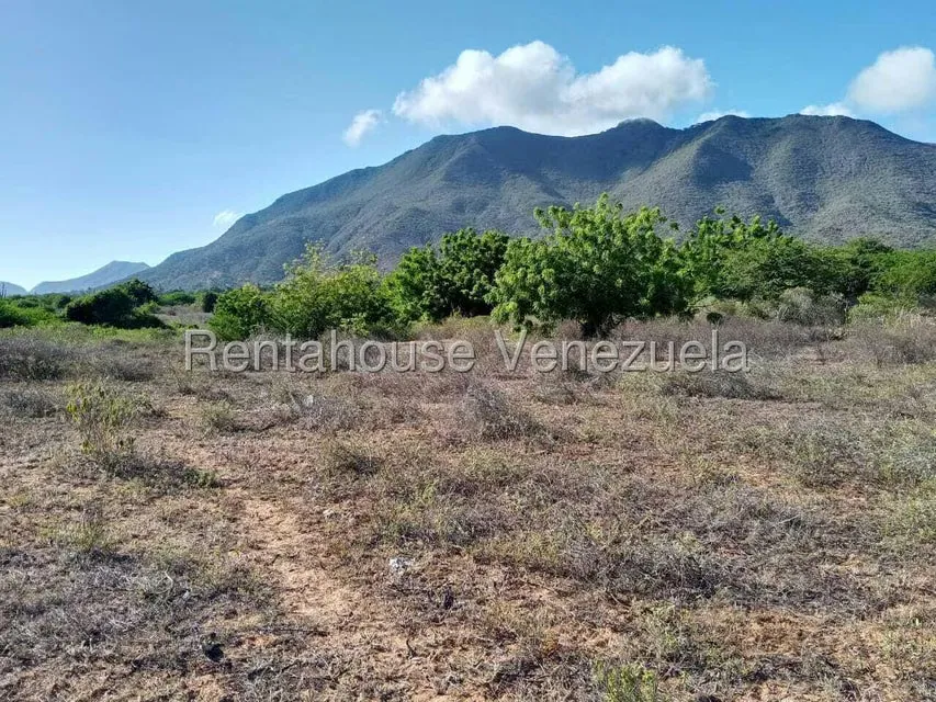 Terreno (Residencial) en Venta en Maneiro, Nueva Esparta - 8