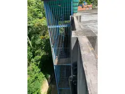 View 47