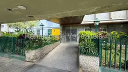 Vista 19