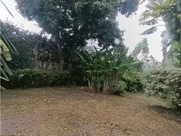 Vista 21