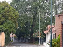 Vista 29