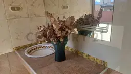 Vista 17