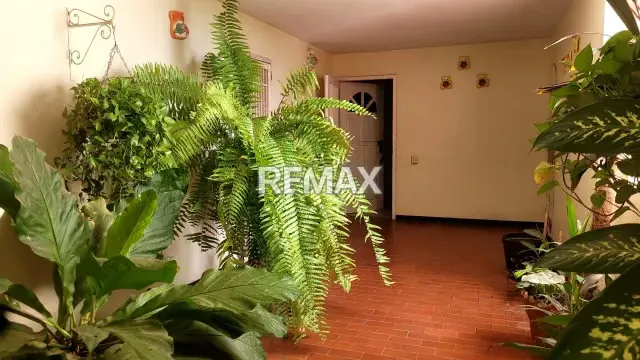 APARTAMENTO EN EL PINAR EDIFICIO KASYA 5 - 4