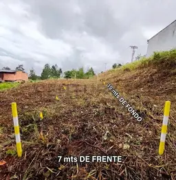 Vista 3
