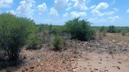 Vista 1