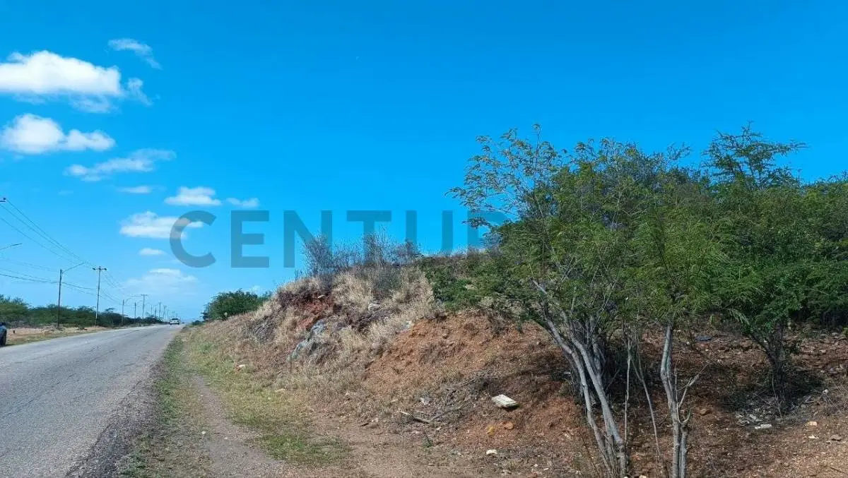 Terreno para Uso habitacional, comercial e industrial - 7