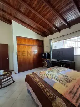 Vista 13